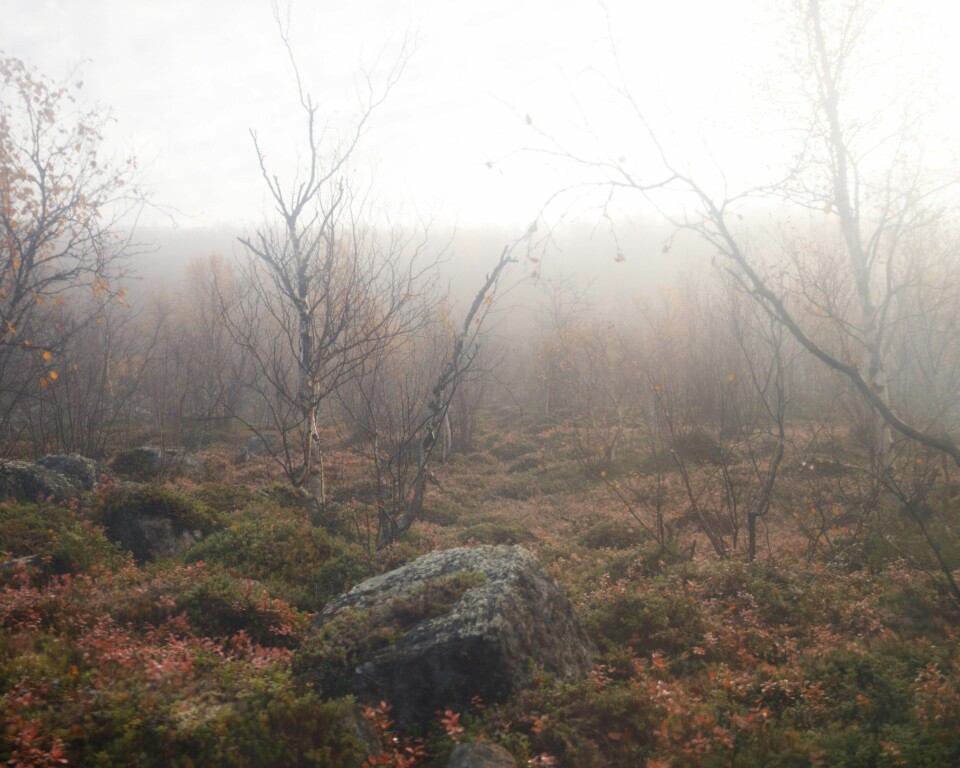 OFFERSTEDER: I Levajok-området ved Tana-elva er det flere samiske offersteder, blant annet fordi det er et rikt område fra naturens side. Ellinor Utsi og Thoralf Henriksen i Finnmark. Rásttigáisá og Nordkyn. Verdenssynet, samisk kultur og livsstil, og naturkrisen.