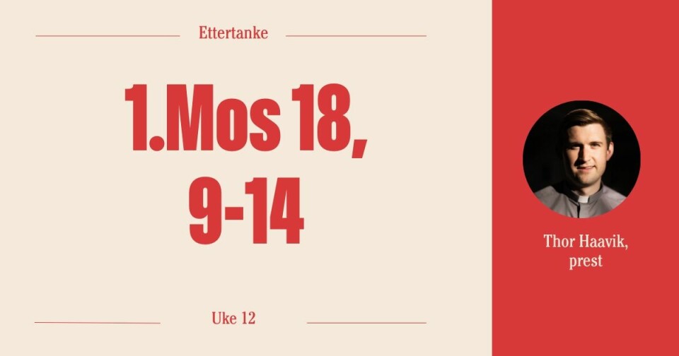 I uke 12 skriver Thor Haavik andakter i Vårt Lands spalte Ettertanke, med utgangspunkt i dagens bibelord fra Bibelselskapet.