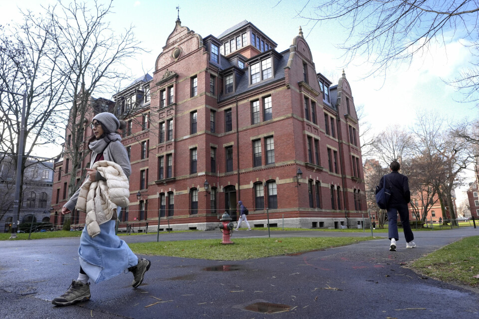 HARVARD: President Donald Trump fyrer løs mot Harvard i et innlegg på sosiale medier. Harvard-universitetet i USA er blant institusjonene som for tiden er i klinsj med Trump-administrasjonen. – Vi kan utgjøre en forskjell for fremragende forskere og viktig kunnskap, og det ønsker vi å gjøre så raskt som mulig, sier forsknings- og høyere utdanningsminister Sigrun Aasland (Ap). Foto: Steven Senne / AP / NTB