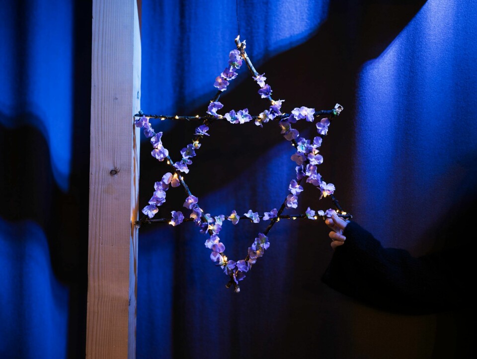 – No handlar alt i livet mitt om Israel Sak om unge Israelsvenner.