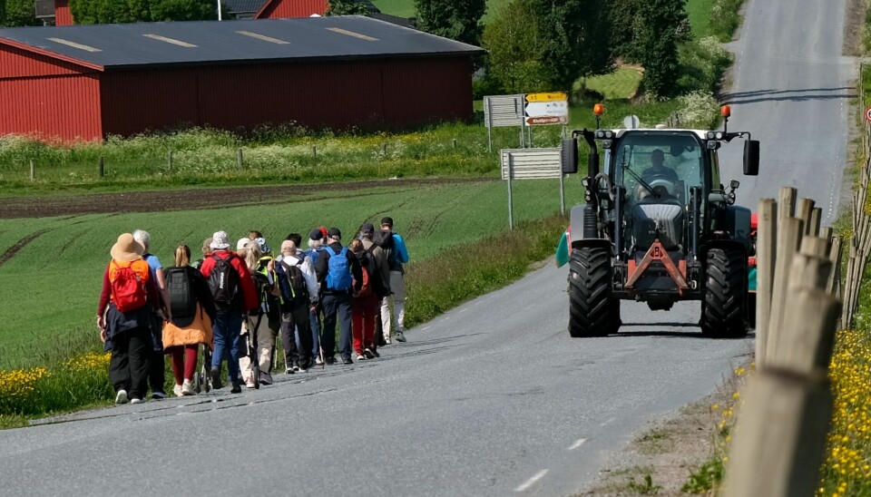 ULIKT TERRENG: Turterrenget varierer fra smale skogstier til brede asfaltveier